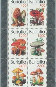M2213 - RUSSIAN STATE, MINIATURE SHEET: Mushrooms