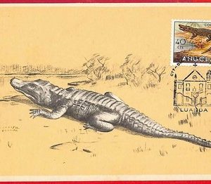 32797 - ANGOLA - Postal History - MAXIMUM CARD  - Animals, Crocodiles