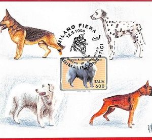 51555 - ITALY - Postal History - MAXIMUM CARD  - Animals, Dogs - 1994