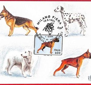 51557 - ITALY - Postal History - MAXIMUM CARD  - Animals, Dogs - 1994