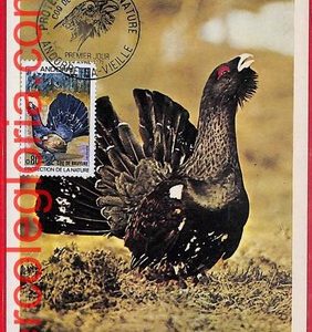 56898 - ANDORRA - Postal History - MAXIMUM CARD - FAUNA, Birds - 1971