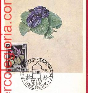 56931 - AUSTRIA - Postal History - MAXIMUM CARD  - FLOWERS, Bregenz - 1955