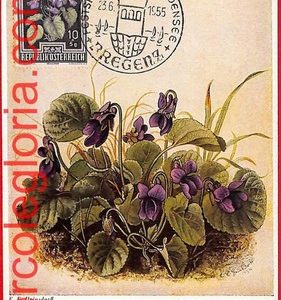 56932 - AUSTRIA - Postal History - MAXIMUM CARD  - FLOWERS, Bregenz - 1955