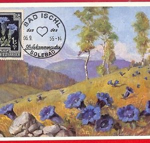 56947 - AUSTRIA - Postal History - MAXIMUM CARD  - FLOWERS - 1956