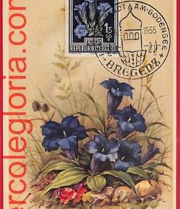 56943 - AUSTRIA - Postal History - MAXIMUM CARD  - FLOWERS, Bregenz - 1955