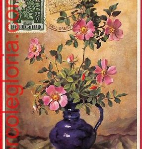 56956 - AUSTRIA - Postal History - MAXIMUM CARD  - FLOWERS - 1956