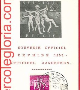 57063 - BELGIUM - Postal History - MAXIMUM CARD - Official Souvenir - 1955