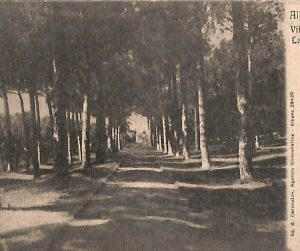 ab3120 - CARTOLINA D'EPOCA - Roma Provincia : Albano