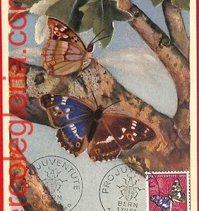 52714 - SWITZERLAND -   FDC  MAXIMUM CARD  - Butterflies PRO JUVENTUTE - - 1956