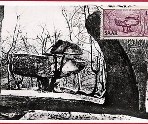 57197 - Germany SAAR - Postal History - MAXIMUM CARD - NATURE - 1951