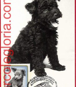 63588 -  HUNGARY - Postal History - Set of 7 MAXIMUM CARD - FAUNA, Animals 1975