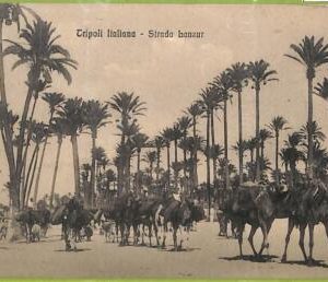af6425  - LIBYA - VINTAGE POSTCARD - Tripoli - 1912