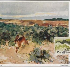 52168 - BULGARIA - MAXIMUM CARD - ANIMALS  HUNTING - HARE 1960