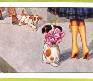 af4350 - VINTAGE POSTCARD - ILLUSTRATED  - Dogs Glamour - Bertiglia