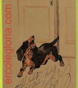 af4349 - ITALY - VINTAGE POSTCARD - ILLUSTRATED - 1904 - Dogs EMBOSSED Dachsund