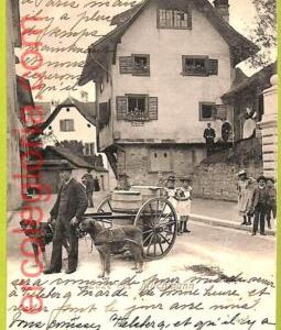 af4358 - SWITZERLAND - VINTAGE POSTCARD - 1900 - Working Dogs LUZERN