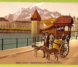 af4359 - SWITZERLAND - VINTAGE POSTCARD  - Working Dogs LUZERN