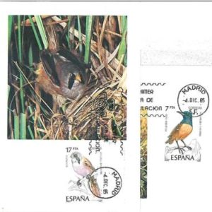 14707- SPAIN  - POSTAL HISTORY - Set of 2 MAXIMUM CARD -  1985 :BIRDS