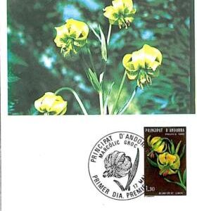 10940 - SPANISH ANDORRA  -   MAXIMUM CARDS -  1960  FLOWERS