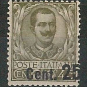 53899 - ITALIA  REGNO - Storia Postale: Sass 177fbe  VARIETA' - NUOVO **  BELLO!