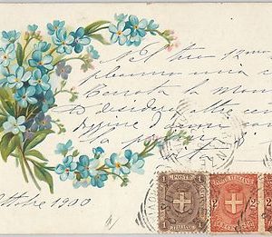 53904 -  ITALIA REGNO - Storia Postale: Sassone 65 + 66*2  su CARTOLINA 1900