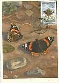 12302 - Czechoslovakia - Maximum Card  -1961 : BUTTERFLIES