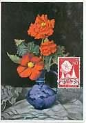 12307A  - BELGIUM - Maximum Card  - 1955 : FLOWERS