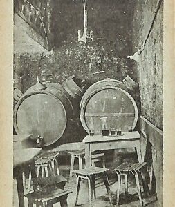 ab3115 - CARTOLINA D'EPOCA - Roma Città - GROTTE RUPE TARPEA