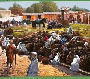 ah2394 - VINTAGE POSTCARD Ansichtskarten - Tanger -  ETHNIC