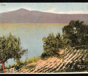 ab3156 - CARTOLINA D'EPOCA - Roma Provincia - Albano