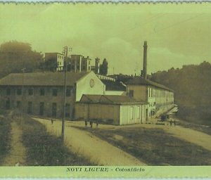 97117 - CARTOLINA d'Epoca - ALESSANDRIA provincia - COTONIFICO  1916