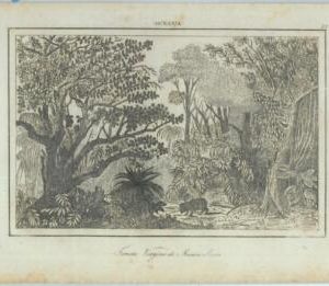 84887 - Ganges Island MUNIN SIMA Japan - VINTAGE Italian Engraving - 1800's