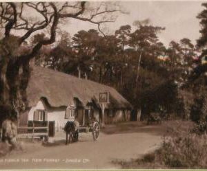 ac4995 - GB  -  VINTAGE POSTCARD:  New Forest - 1924  HAMPSHIRE