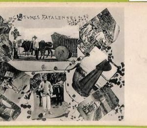 ad3784 - PORTUGAL - VINTAGE POSTCARD  - Costume Fayalenses