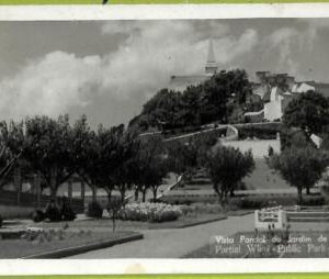 ad3409 - PORTUGAL - VINTAGE POSTCARD  - Angra - 1953