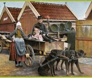 ad2269 - NETHERLANDS - VINTAGE POSTCARD  - Volendam