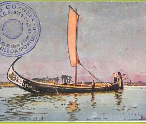ad3671 - PORTUGAL - VINTAGE POSTCARD  - Aveiro