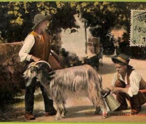 ad2361 - PORTUGAL - VINTAGE POSTCARD - Ethnic - 1907