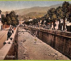 ad2445 - PORTUGAL - VINTAGE POSTCARD - Madeira