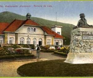 ad2450 - PORTUGAL - VINTAGE POSTCARD - Madeira