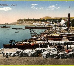 ad2452 - PORTUGAL - VINTAGE POSTCARD - Madeira - 1925