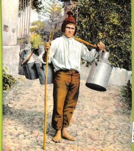 ad2453 - PORTUGAL - VINTAGE POSTCARD - Madeira