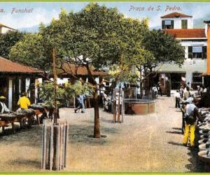ad2456 - PORTUGAL - VINTAGE POSTCARD - Madeira