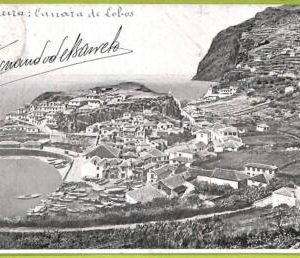 ad2454 - PORTUGAL - VINTAGE POSTCARD - Madeira - 1908
