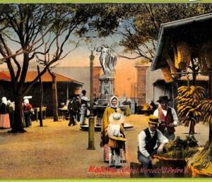 ad2455 - PORTUGAL - VINTAGE POSTCARD - Madeira
