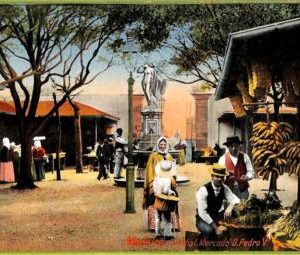 ad2457 - PORTUGAL - VINTAGE POSTCARD - Madeira