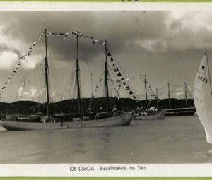 ad3537 - PORTUGAL - VINTAGE POSTCARD  -  Lisboa - 1953