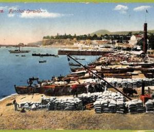 ad3416 - PORTUGAL - VINTAGE POSTCARD  - Madeira - 1914