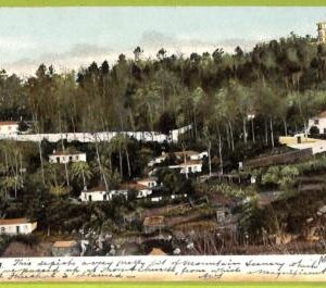 ad3415 - PORTUGAL - VINTAGE POSTCARD  - Madeira