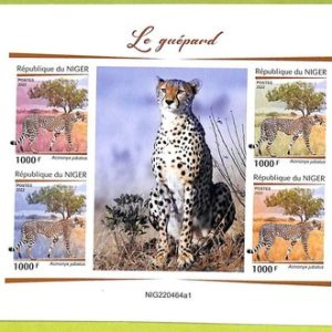 B0633 - NIGER - ERROR IMPERF  Stamp Sheet - 2022 - FAUNA  Cheetah